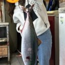 추정실내낚시터 이미지