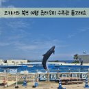 J놀이터 | 2일차) 무료입장으로 즐기는 츄라우미 수족관 오키짱 돌고래쇼 / 돌고래 먹이주기 체험 후기 + 놀이터는 덤