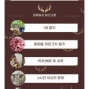 부모님 선물 추천 - 청록원 녹용 효능 효과 녹용 먹는법