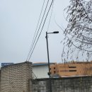 연세강이비인후과의원 이미지