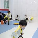 어룡태권도 이미지