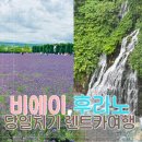 (주)보라비소프트 | 삿포로 출발 비에이·후라노 당일치기 코스｜렌트카 여행 후기(팜도미타·청의호수) | 7월 여행, 비오는 날