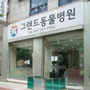 그랜드동물병원 이미지
