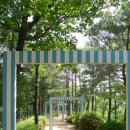 주식회사 민투어 네이버블로그