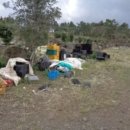 한림읍사무소 이미지