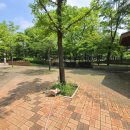 선주리들 이미지