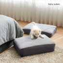 베스애견 이미지