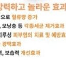 정다운동물병원 이미지