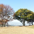 봉황세차장 이미지