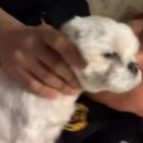 골드팜행복나눔약국 | 뭐든 열심히