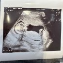 슈가팸팸 | [한국 일상] 임신 후 방문한 한국! 수수쀼의 휴가 기록 in 울산, 대구 #2 ˖˚⊹ ⋆♡