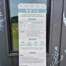 용인 분당 크로플 맛집 애견카페 - 별똥구리 방문 후기