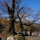 함박골마을 이미지