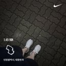 수연홍삼 | 차가운 공기 속에서 빛나는 가을빛, 10월