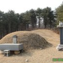 신호묘 이미지