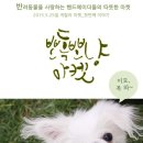 뽀독 뽀독 이미지