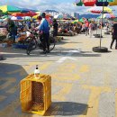 남대천새벽시장 이미지