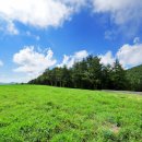 카우목장 이미지