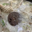 경기도 수원시 팔달구 월드컵로297번길 | 시즌 시작했다, 시즌 끝났다🧗🏼