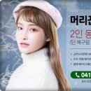 헤어머리꾼 이미지