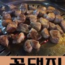 꽃돼지바람났네 이미지