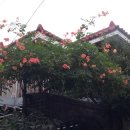 대천공인중개사사무소 이미지