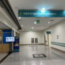 을지식당가 네이버블로그