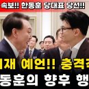 한동훈 당선의 충격적인 나비효과 이미지