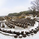 명제