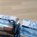 빽다방창원가음한림풀에버점 | 소소한 일상 속 소소한 이야기 😋 / 가음정 맛미랑, 창원 롯데 맥스 홍대 쌀국수, 자미당 꽈배기, 박종진...