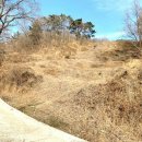 영덕야성초등학교 매정분교장 이미지