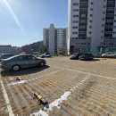 조암농업협동조합 | 남양 구축대단지 임장 대광파인밸리아파트