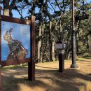 대왕암공원 안내센터 이미지