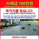 [퍼온글/수정] 재송동 삼익아파트 부산 아기냥 살해사건 목격자를 찾습니다 이미지