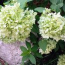 2025.08.19. 한강공원일대 일출전경 등 트레킹! 이미지