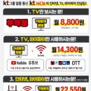 HCN부산방송