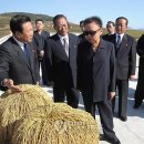 KIM&KIM FARM 이미지