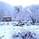 숲속작은나라 이미지