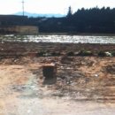 보성부동산공인중개사사무소 이미지