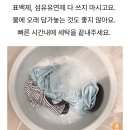 래쉬가드 올바른 세탁법 이미지