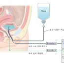 해피비뇨의학과의원 이미지