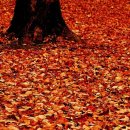 옥구공원 이미지