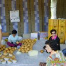 성도 농장 이미지