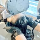 파동주민센터 | 분당 야탑 탈모관리 단골샵 엠지에프 2년 다닌 후기