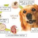 다산동물약국 이미지