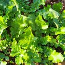 화순베스트요양병원 이미지