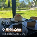 카페수놀 | 화성 새솔동 카페 후기｜바스크 치즈케이크 맛집 수놀카페