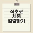산성 온누리약국 | 식초로 다이어트 성공할까?