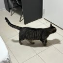 (주)힐스톤 이미지