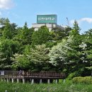 푸른수목원 Daum카페